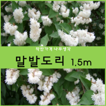 착한가격나무생각 말발도리 1.5m