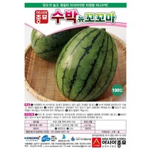 아시아종묘 수박씨앗종자 뉴꼬꼬마수박 (100립)