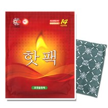 이세이브 (포켓) 핫팩 100g (10개), 10개