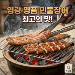 [산지직송] 여름보양식 프리미엄 자포니카 영광민물장어, 소스2종+생강채 1-2세트 증정