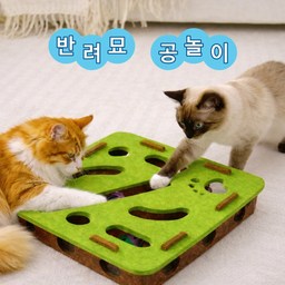 솔로몬스 고양이트랙 공놀이 장난감 공3개