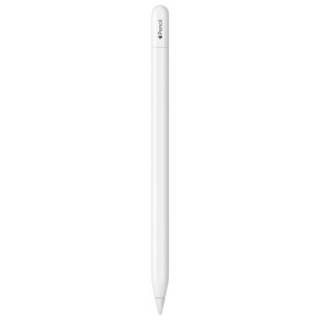 Apple 애플펜슬 USB-C MUWA3KH/A