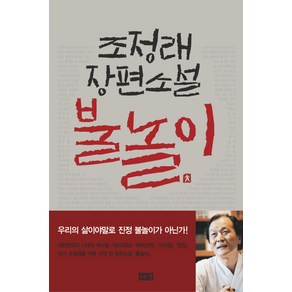 불놀이, 해냄출판사, 조정래 저