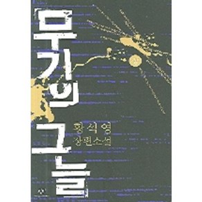 무기의 그늘(상), 창비, 황석영 저