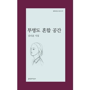 투명도 혼합 공간:김리윤 시집