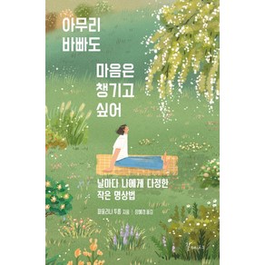 아무리 바빠도 마음은 챙기고 싶어:날마다 나에게 다정한 작은 명상법, 갈매나무, 파울리나 투름