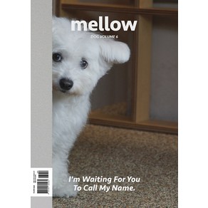 [펫앤스토리]멜로우 매거진 Mellow dog volume 6