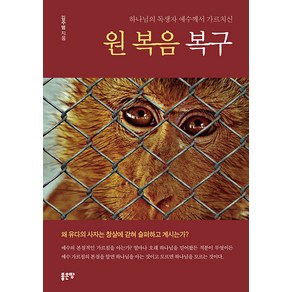 [좋은땅]하나님의 독생자 예수께서 가르치신 원 복음 복구, 좋은땅
