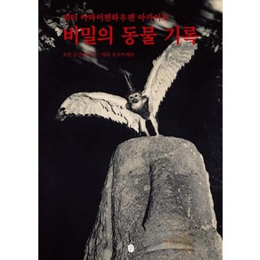 비밀의 동물 기록:피터 아마이젠하우펜 아카이브, 이은북, 호안 폰쿠베르타 페레 포르미게라