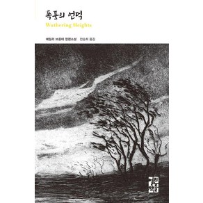 [열린책들]폭풍의 언덕 (양장)