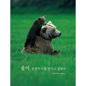 [진선북스]곰아 언젠가 너를 만나고 싶었어 (양장), 진선북스, 호시노 미치오