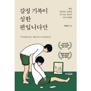 감정 기복이 심한 편입니다만:매일 요동치는 감정을 다스리는 최고의 심리 치유법