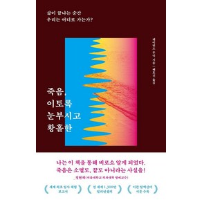 [서스테인]죽음 이토록 눈부시고 황홀한 : 삶이 끝나는 순간 우리는 어디로 가는가?, 서스테인, 레이먼드 무디