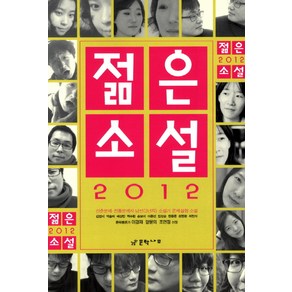 젊은 소설(2012)