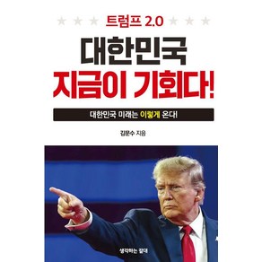 트럼프 2.0 대한민국 지금이 기회다:대한민국 미래는 이렇게 온다, 생각하는갈대, 김문수