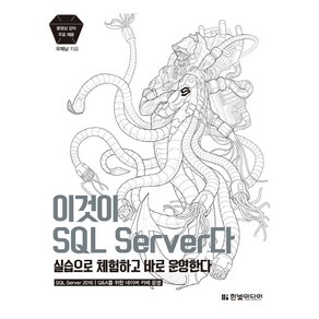 이것이 SQL Seve다:실습으로 체험하고 바로 운영한다, 한빛미디어