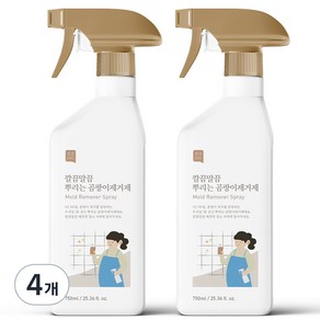 쉼표365 깔끔말끔 뿌리는 곰팡이제거제, 750ml, 4개