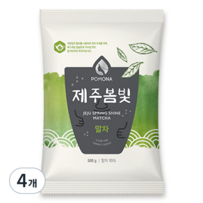 포모나 제주봄빛 말차 파우더, 500g, 4개, 1개입