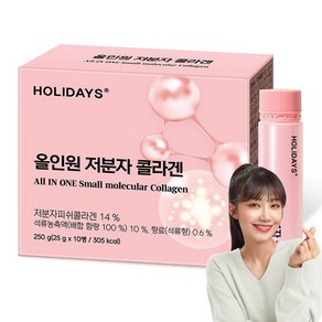 홀리데이즈 올인원 저분자 콜라겐 10p, 250g, 1개