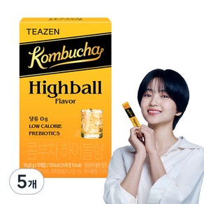 티젠 콤부차 하이볼향, 5g, 10개입, 5개