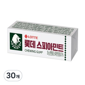 롯데웰푸드 스피아민트 껌, 26g, 30개