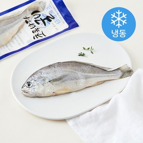 초록바다 품질 인증 굴비 (냉동), 150g, 1개