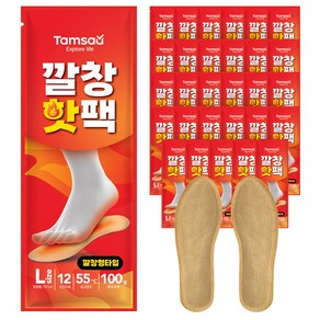 탐사 남성용 깔창 핫팩 L 사이즈 국내생산 2입세트, 30개