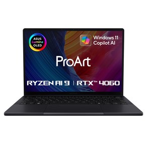 에이수스 2024 프로아트 PX13 라이젠9 라이젠 AI 300시리즈 지포스 RTX 4060, 나노블랙, HN7306WV-LX010W, 1TB, 32GB, WIN11 Home