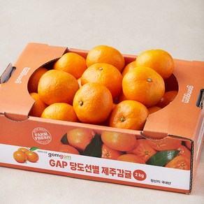 곰곰 GAP 당도선별 제주 감귤