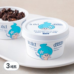 룩트 아이슬란딕 요거트 마일드 100g + 허니스틱 15g + 초코 클러스터 25g