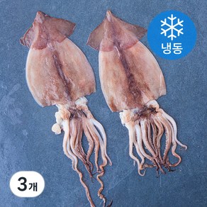 바다온 포항시 인증 구룡포건조 원양산 반건조 오징어 2미 (냉동), 270g, 3개