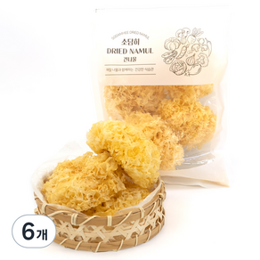 소담히 건조 백목이버섯, 100g, 6개