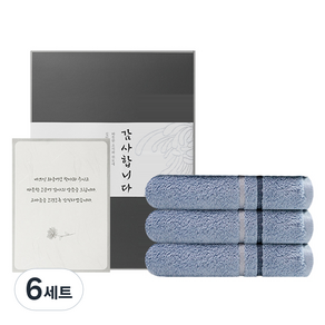 송월타월 조문 답례품 루시아 세면타월 180g 코마사 + 띠지 + 감사장 세트, 라이트블루, 6세트