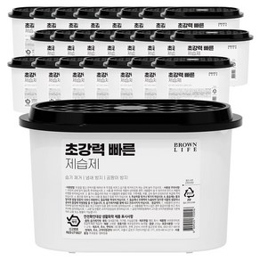 브라운라이프 초강력 빠른 제습제 본품, 250g, 24개