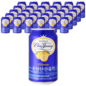 초정탄산수 유자, 350ml, 48개