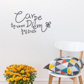 원에이엠 캘리그라피 포인트스티커 Carpe Diem