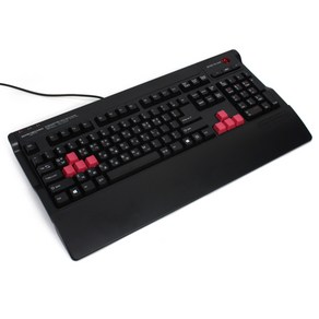 스카이디지탈 게이밍 키보드 NKEYBOARD NKEY-2