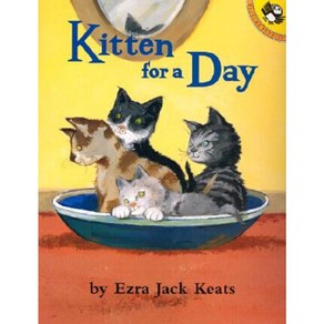 Kitten fo a Day Papeback, Puffin Books