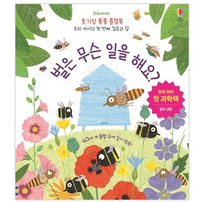 Usborne벌은 무슨 일을 해요?:우리 아이 첫 과학책 | 벌의 생태