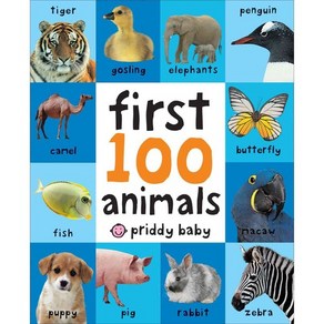 Fist 100 Animals:, Piddy Books