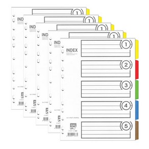 알파 인덱스간지 종이 5분류 A4 AI-305