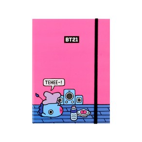 라인프렌즈 BT21 다이어리M, 망