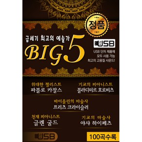 BIG5 금세기 최고의 예술가, 1USB