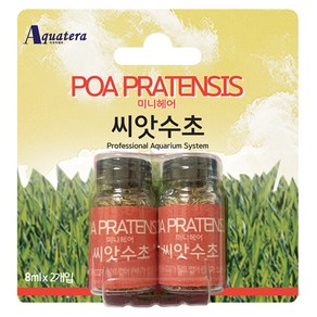 아쿠아테라 씨앗수초 관상어 용품 미니헤어 8ml, 2개