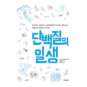 단백질의 일생, 파피에, 나가타 가즈히로