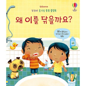 Usborne왜 이를 닦을까요?: