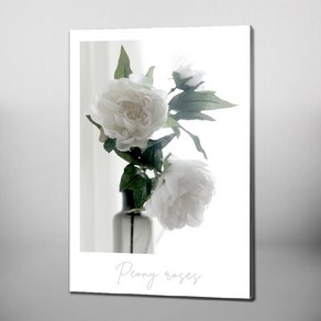 RYMD White Peony Roses 엣지 액자