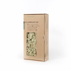 스칸디아모스 이끼 RM500 네츄럴 500g