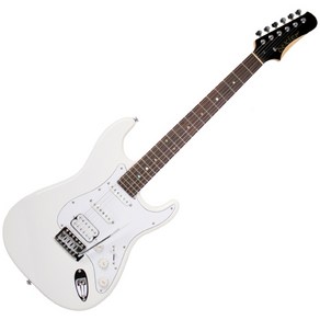 dexterGUITARS D 240 일렉 기타 + 구성품 11종