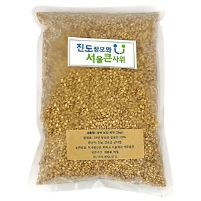 진도장모와서울큰사위 새싹 보리 씨앗, 1kg, 1개